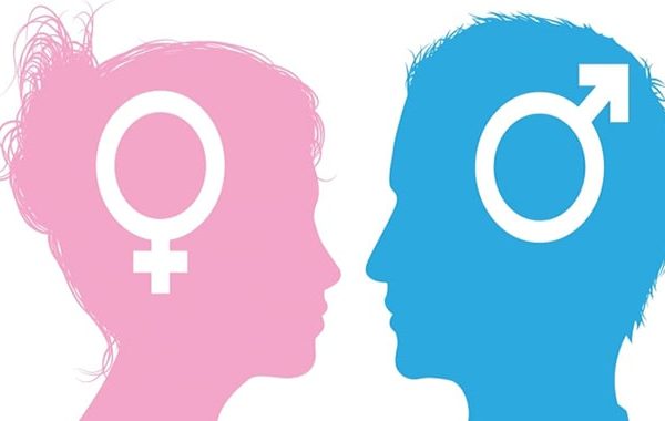 نقش هورمون در افزایش درآمد